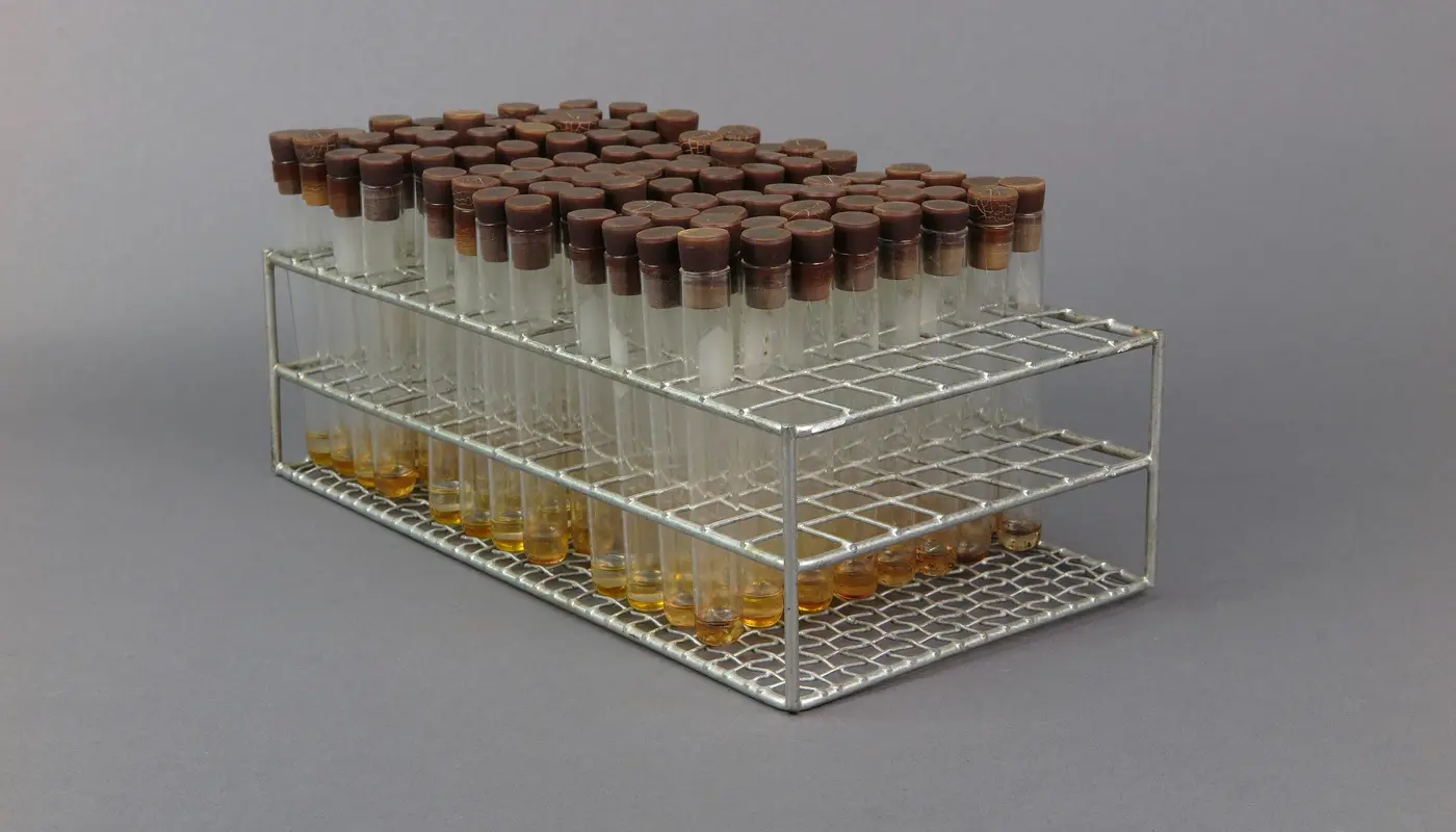Wire Test Tube Rack Containing 3 Sets of 32 Test Tubes   Used in Dr. Salk's Color Test for Polio Antibodies